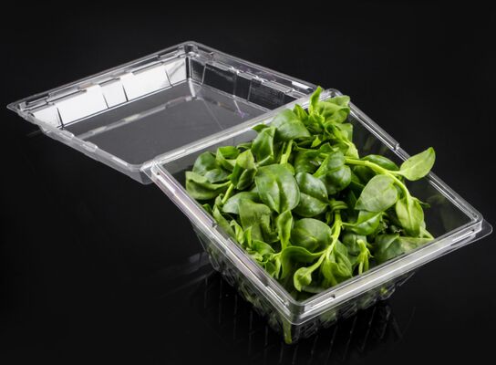 Hộp đóng gói trái cây có thiết kế tùy chỉnh với PET tái chế và niêm phong nhiệt để bảo vệ hoàn hảo