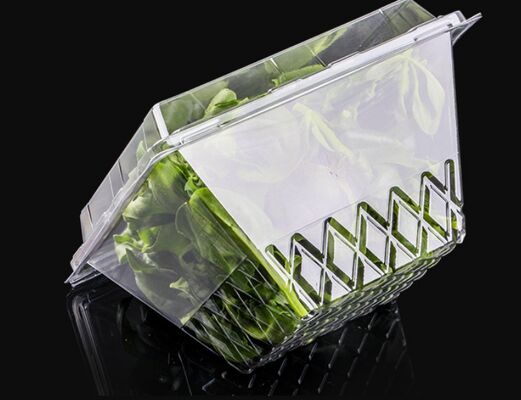 Thiết kế tùy chỉnh Bao bì bong bóng PET nhựa tái chế với niêm phong nhiệt cho sản phẩm tươi