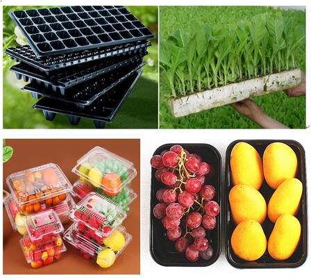 Thiết kế tùy chỉnh Bao bì bong bóng PET nhựa tái chế với niêm phong nhiệt cho sản phẩm tươi