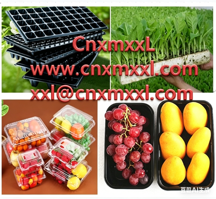 Hộp hoa quả một lần dùng trong suốt, hộp đóng gói dâu tây nhựa cho thú cưng, hộp bong bóng đóng gói trái cây và rau quả siêu thị, nhãn bán buôn