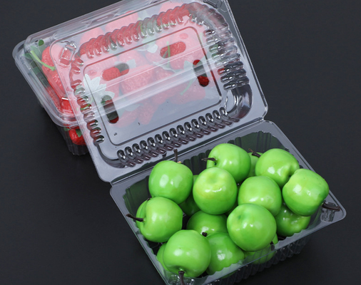 Hộp đóng gói quả việt quất và việt quất lớn 125g - bao bì nhựa dày và thông hơi không khí dùng một lần cho việt quất - bán buôn