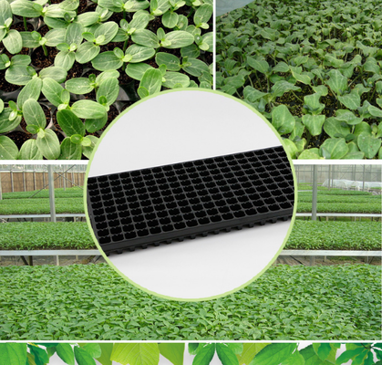 crack‑resistant seed tra,impact‑resistant seed tray,food grade plastic tray,lightweight nursery tray,waterproof seed tray,corrosion resistant plug tray,seed germination,seedling raising,plant rooting,