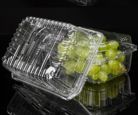 vacuum blister packaging clear disposable blister vented fruit box  ventilation holes container anti‑crush fruit packaging