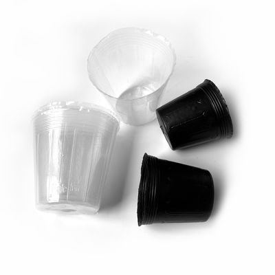 Bán buôn chậu ươm hoa bằng nhựa mềm