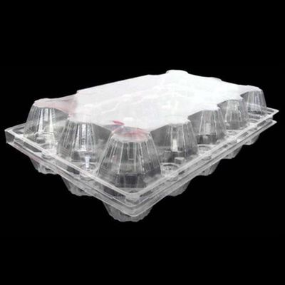 15 gói Khay đựng trứng bằng nhựa PET trong suốt dùng một lần Giá đỡ khay đựng trứng vuông 71mm