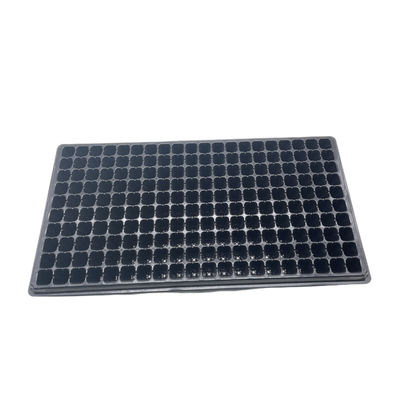 Khay ươm cây 200 lỗ Khay cây giống bằng nhựa Cây xoài Khay tế bào cà chua