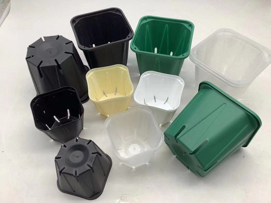 Chậu cây giống phong lan vuông mạnh Chống rách nhẹ