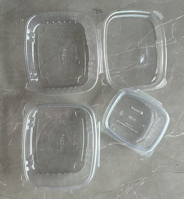 Customized Design Recyclable PET Heat Sealing Fruit Packaging Box for Tomato and Blueberry
