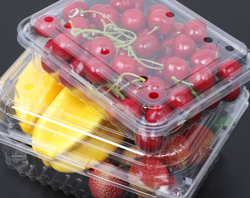 Customized Design Recyclable PET Heat Sealing Fruit Packaging Box and Plastic Blister Tray